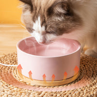 Heated Water Bowl