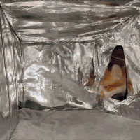 HavenPaws™ Heated Shelter